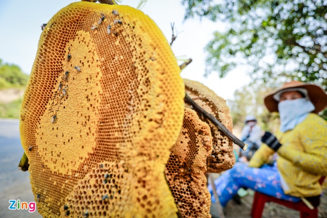 mật ong khoái
