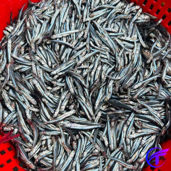 NƯỚC MẮM PHAN THIẾT